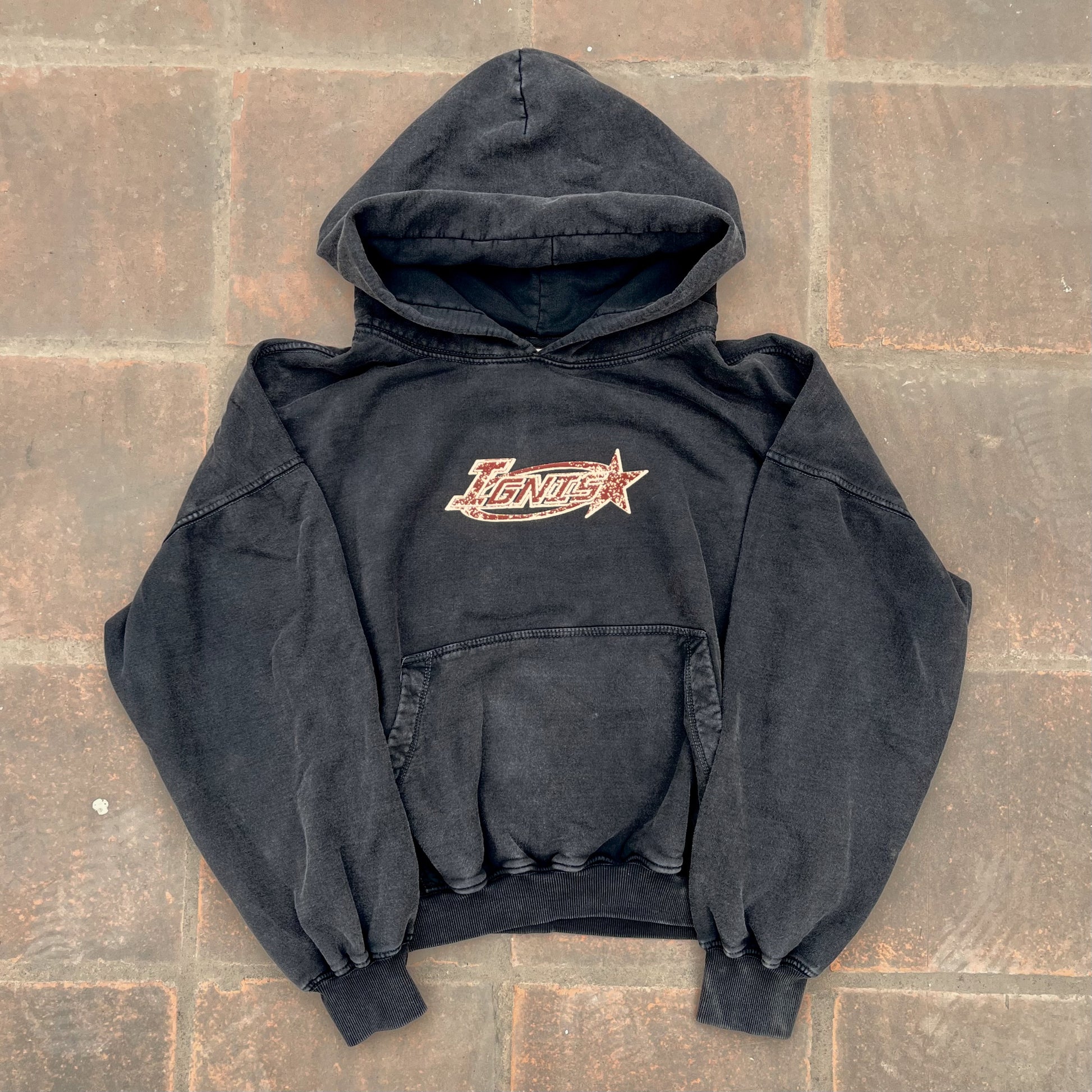 Polera Hoodie Wasted Lover (preventa)