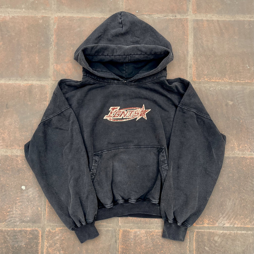 Polera Hoodie Wasted Lover